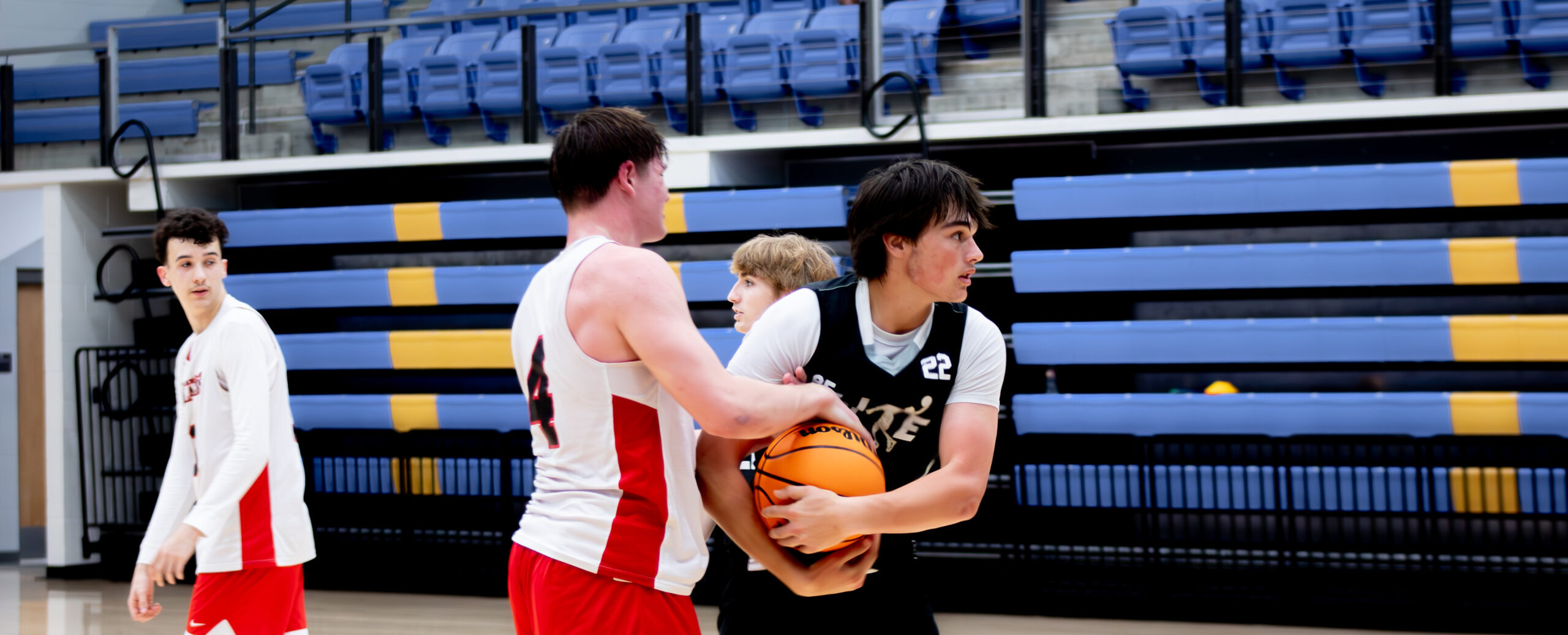 IMG_1712-Enhanced-NR