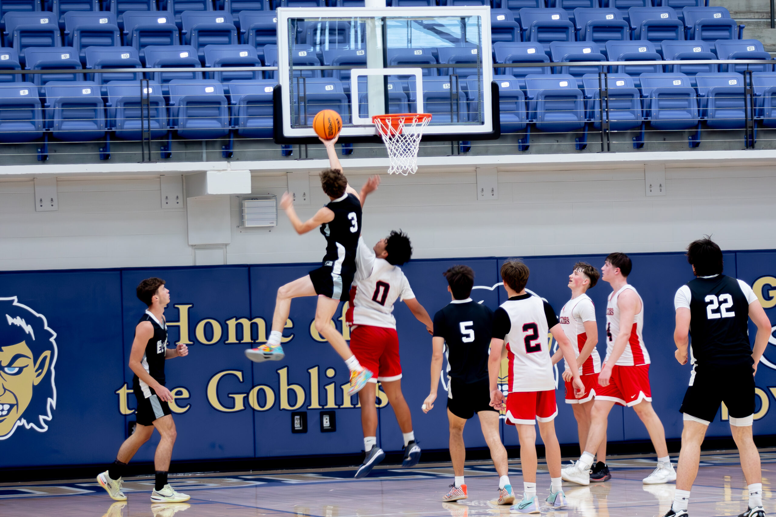 IMG_1732-Enhanced-NR